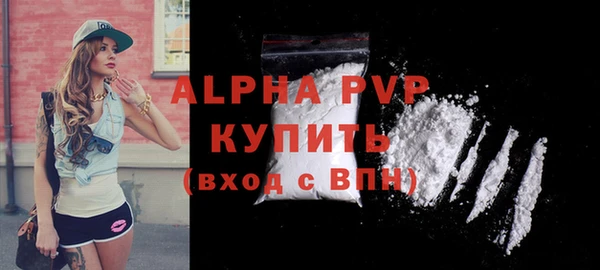молекула духа Новодвинск
