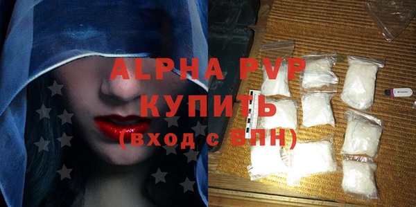 молекула духа Новодвинск