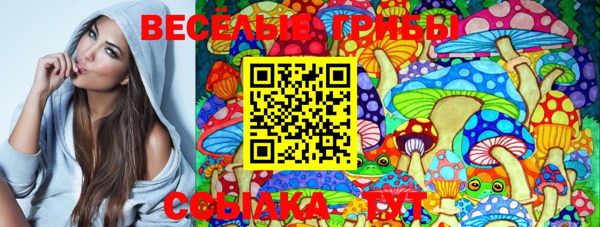 Галлюциногенные грибы Psilocybe  Вход с VPN  Кинель  Псилоцибиновые грибы мухоморы 